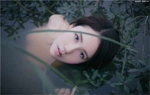 柏乡验血查男女5周验的准吗(验血查男女怎么验)