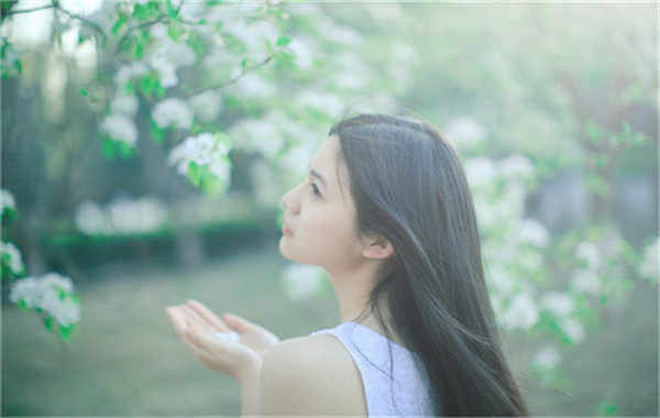 柏乡验血查男女几周可以验(验血查男女结果图)